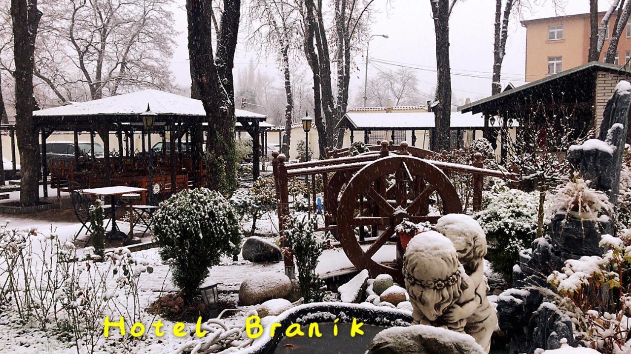 Отель Branik